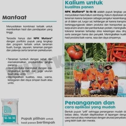Promo Cod Pupuk Npk 16.16 16 Eceran 500Gr 1/2Kg Penyubur Bunga Daun Dan Buah Kemasan Repack ...