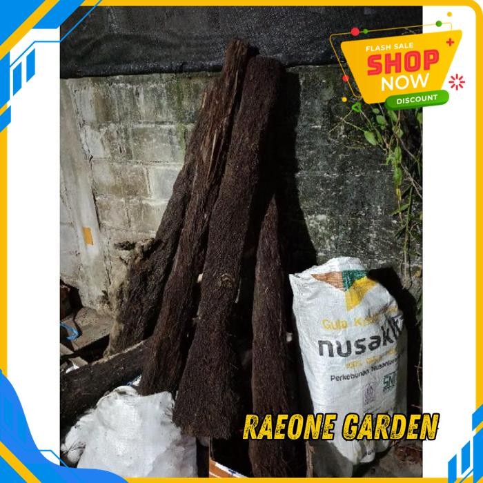 BUNGA ANGGREK POT CANTIK KAYU PAKIS BESAR PANJANG TERBAIK