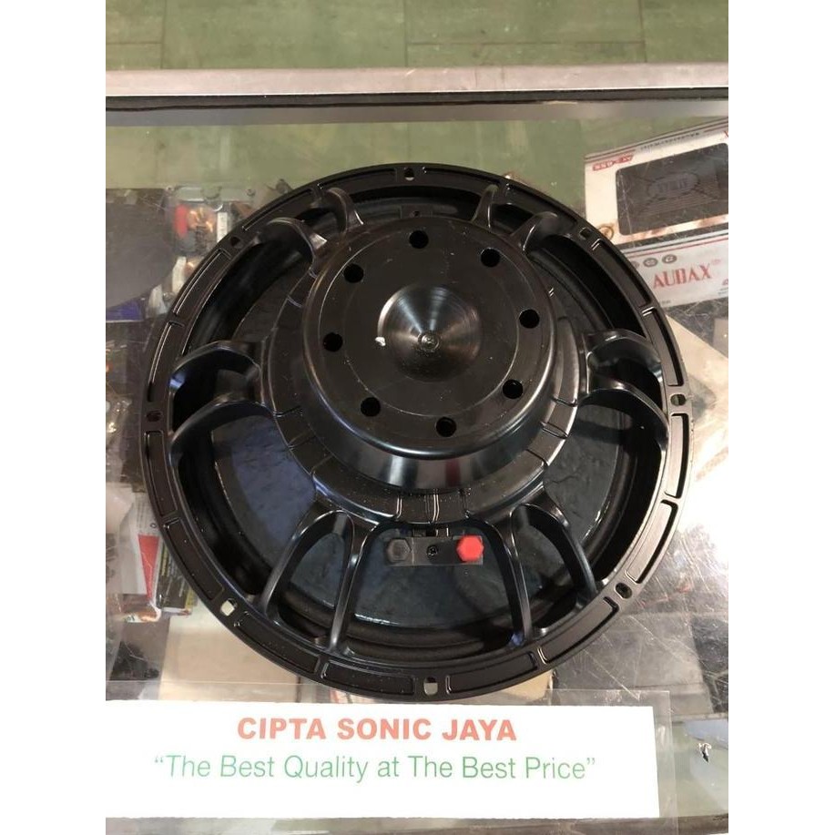 speaker 12" neodium model BnC