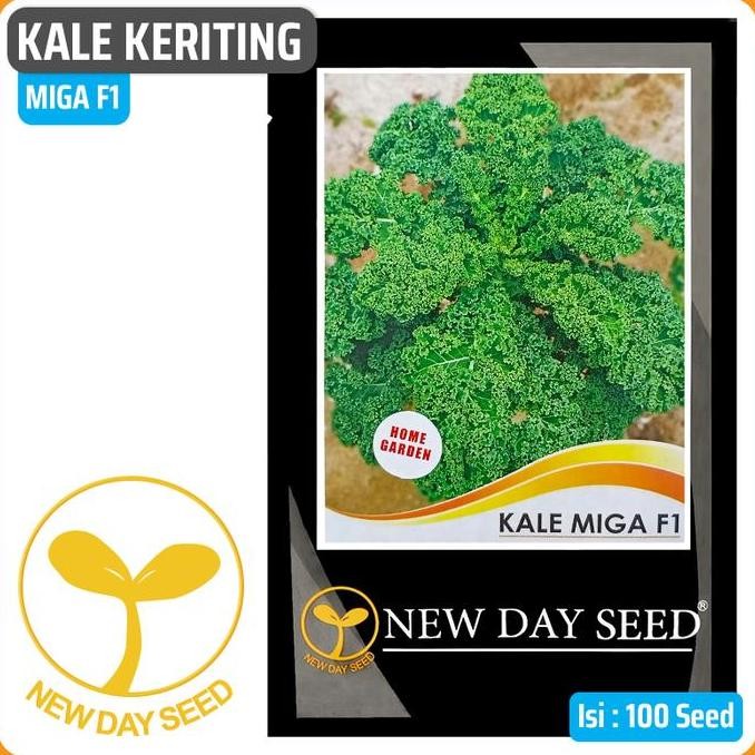 @#@#@#] Benih New Day Seed - Kale Miga F1