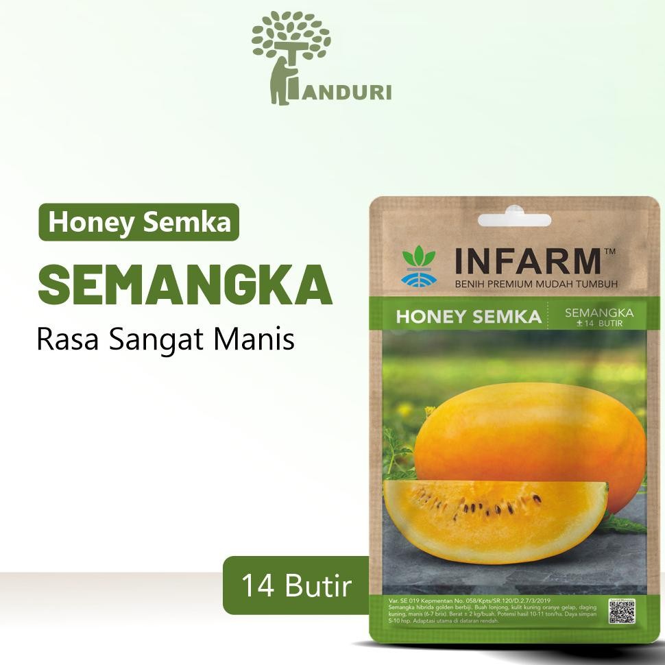 Infarm-Benih Bibit Semangka Benih F1 Buah Semangka Kuning Bibit Buah Buahan Benih Buah Semangka Hone