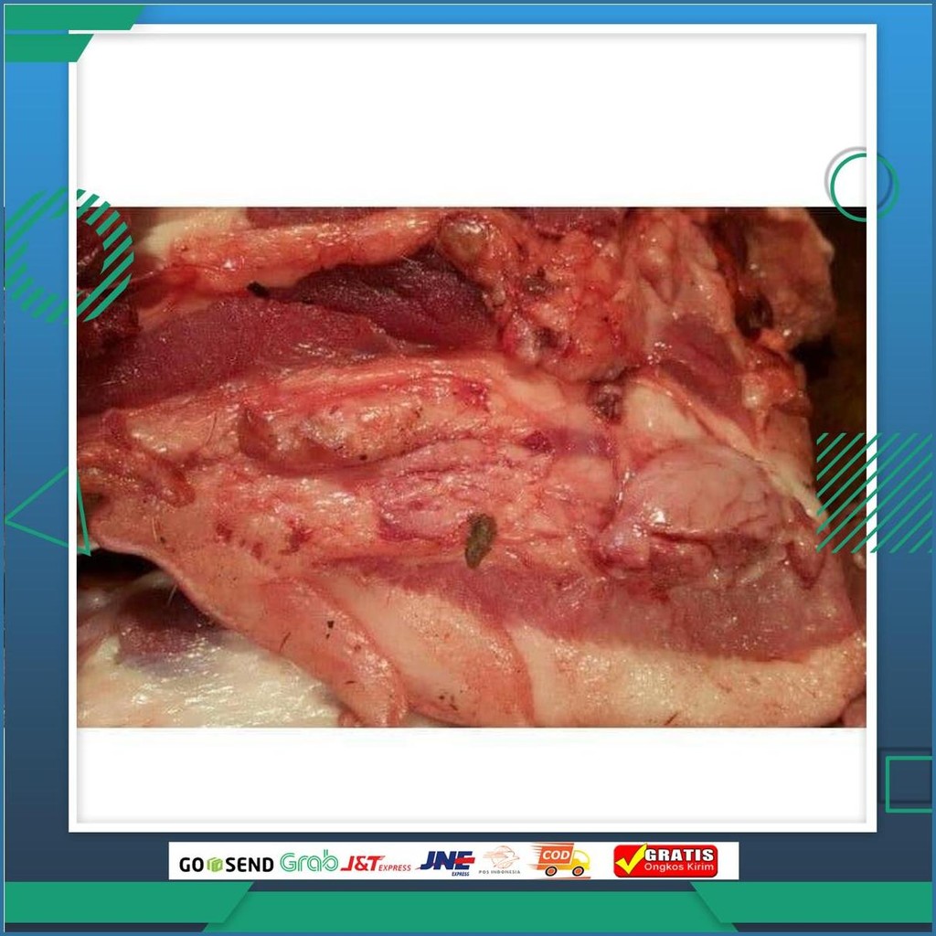 Daging Babi Bagian Leher Babi 1Kg Non Halal