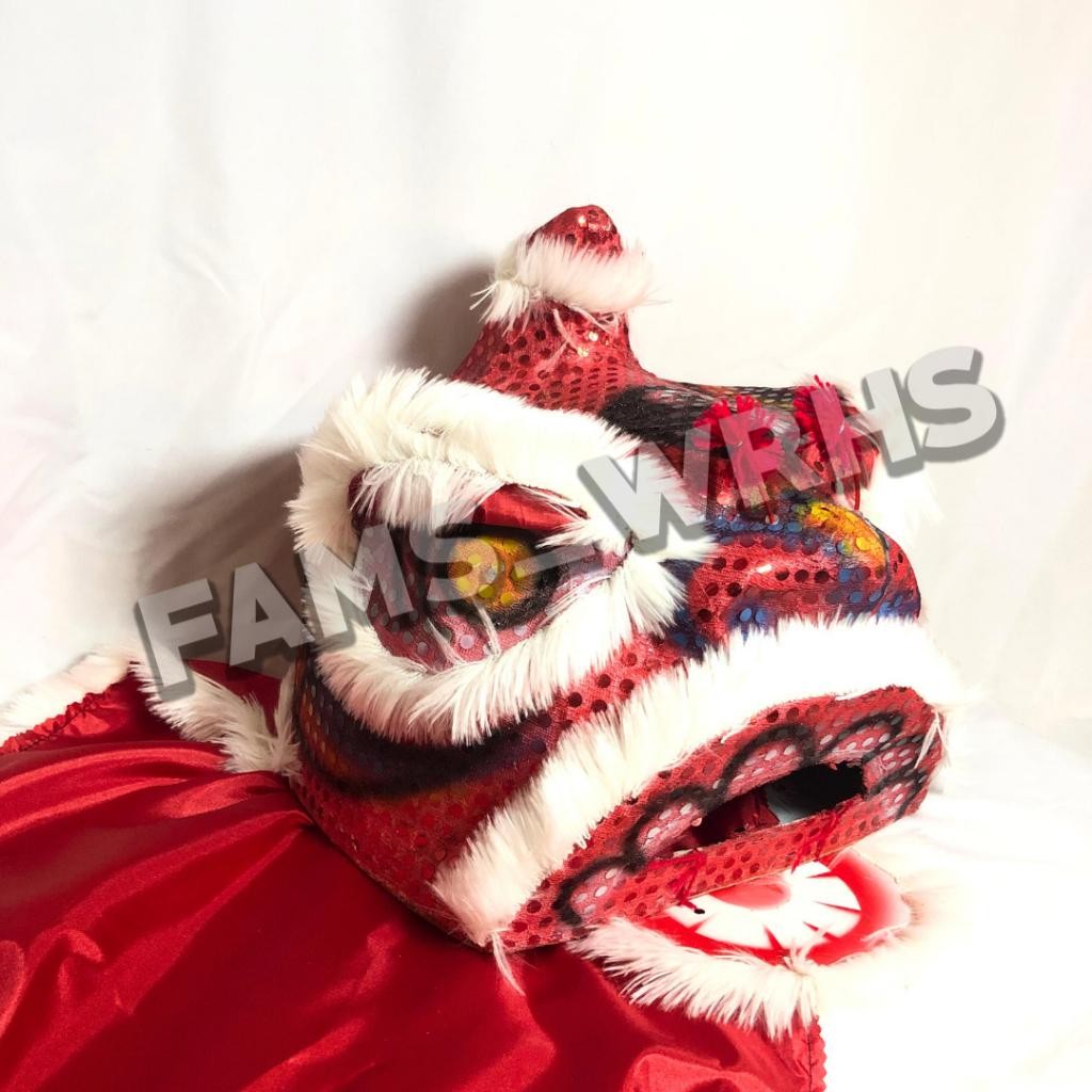 Barongsai Anak Dewasa Bahan Karton Tebal Kokoh Barongsai Kedip