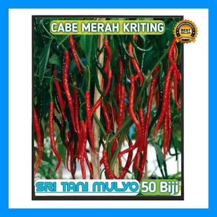 [Cod] - 50 Biji - Benih Cabe Cabai Keriting Unggul -Galih F1 Bibit Unggul