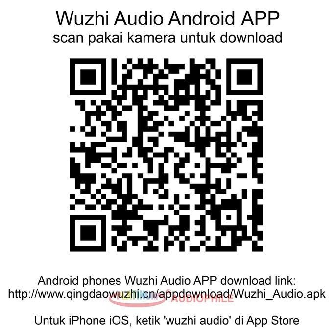 Tpa3116 Amplifier Class D 100W Tws Bluetooth 5.1 Tpa3116D2 Zk-1001B