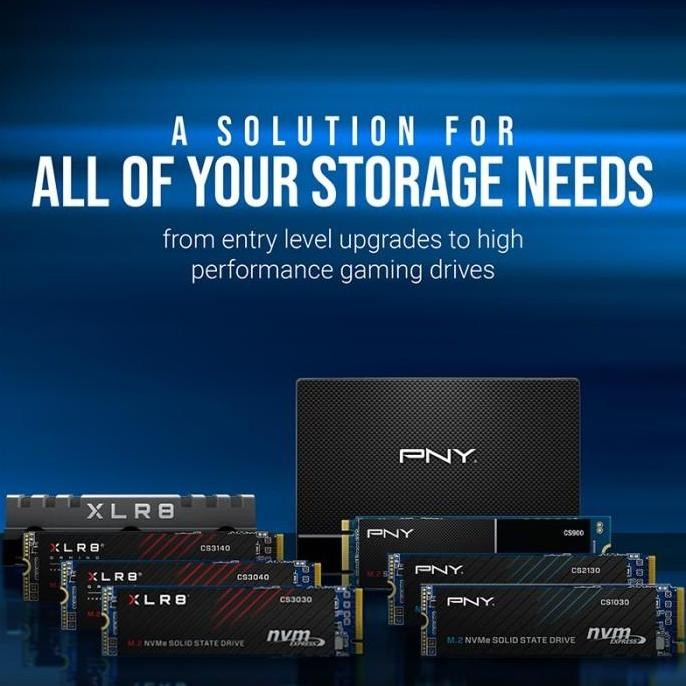 Ssd Pny Cs900 120Gb - Sata Iii 2,5" Ssd 120 Gb Gb Pny Cs 900