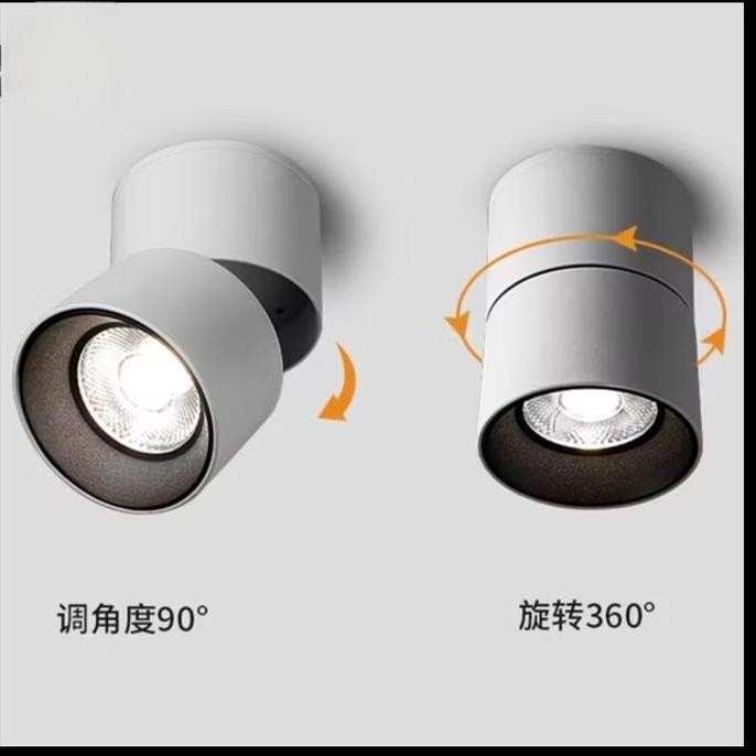 Spotlight Outbow plafon adjustable 20W