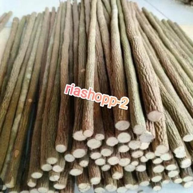 tangkringan burung kayu asem jawa super murah