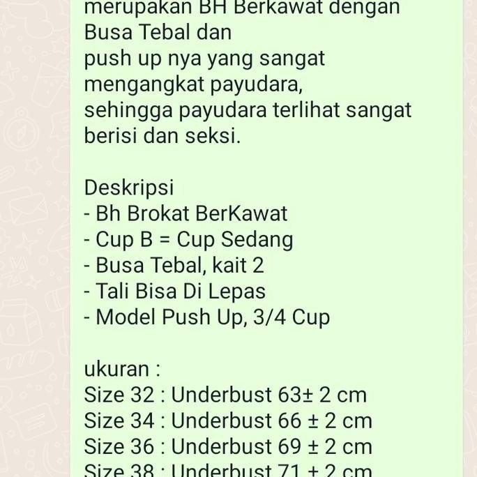 Bh Busa Tebal Berkawat Tally 909 Cup B Kait 2