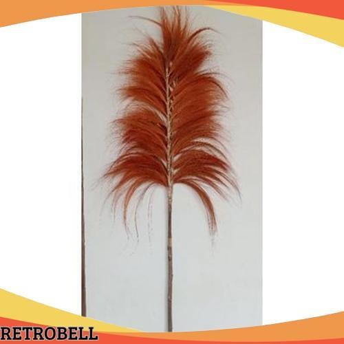 Paling Murah Rayung stick/rayung stik tinggi 2 meter/Pampas tanpa bulu lokal/pampas lokal/Bunga Keri