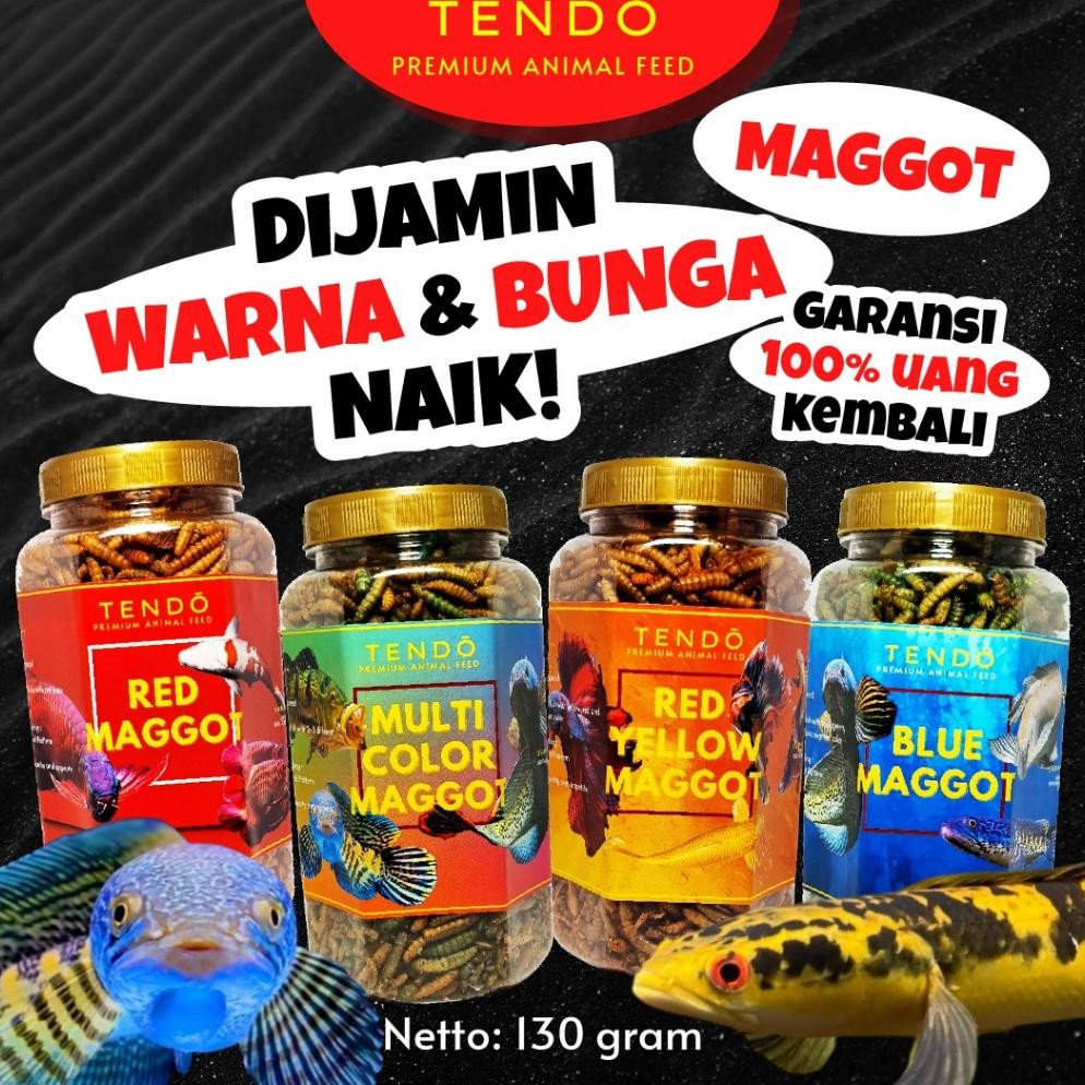 Special Maggot Kering Premium Pakan Ikan Chana Channa Auranti Maru Ys Arwana Magot Tendo 130 Gram Po