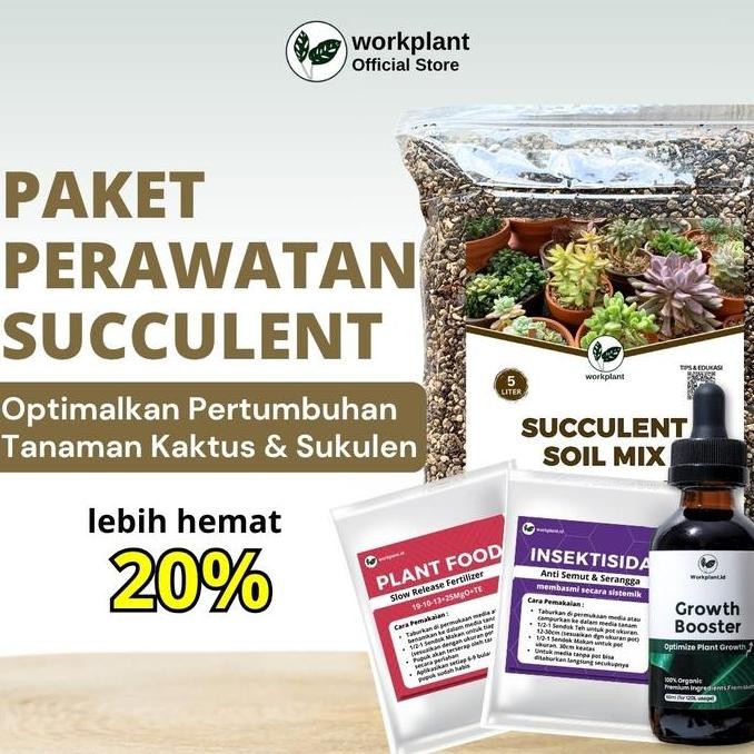 Workplant - Paket Perawatan Succulent Optimalkan Pertumbuhan Tanaman Hias Kaktus dan Sukulen