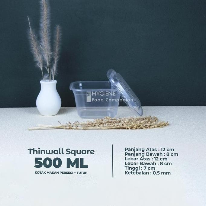 Kotak Makan 500 ML Plastik / Thinwall / Food Container Persegi 500ML