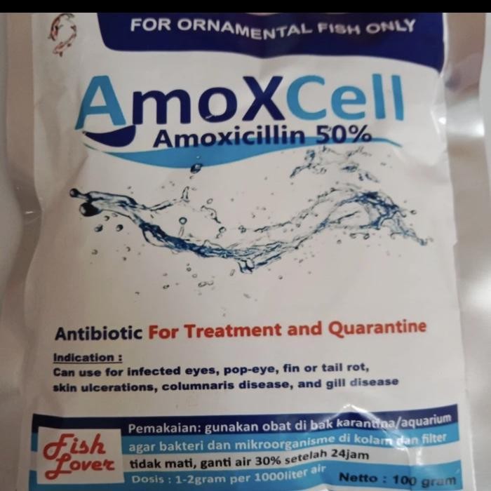 Amoxcell obat ikan antibiotik Karantina aeromonas Koi | ikan air tawar