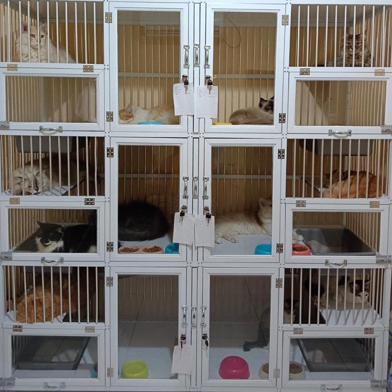READY STOCK PROMO Kandang Kucing Aluminium 6 Kamar Anti Karat terlaris di SAMARINDA KALIMANTAN TIMUR