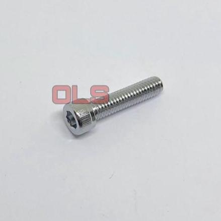 20 PCS BAUT L M6X15 CHROME KEPALA L5