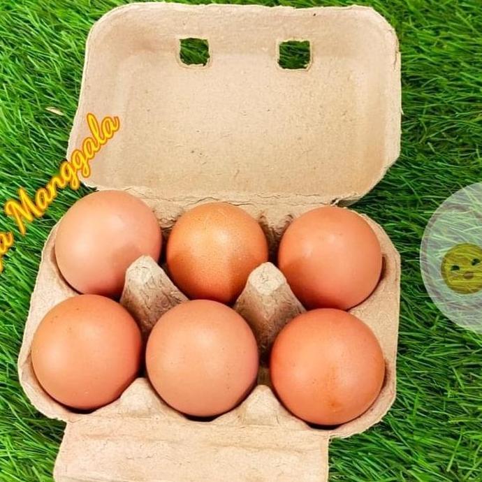 PAPER EGG 6 LUBANG / BOX TELUR KARTON 50 PCS