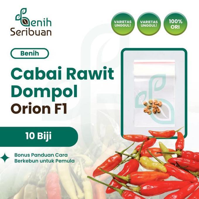 Benih Cabe Rawit Dompol ORION F1 Benih Sayuran Cabai Bergerombol
