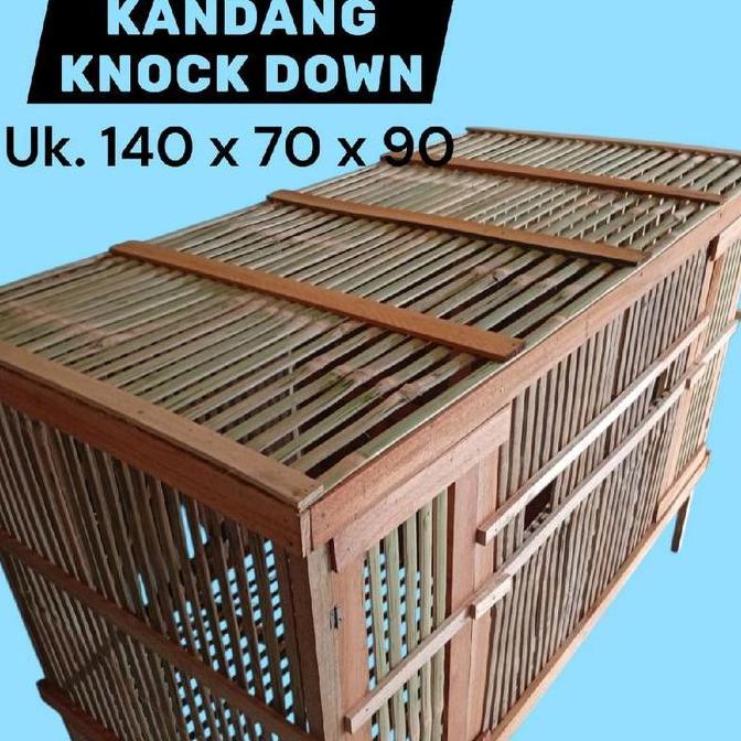 Kandang Ayam Anakan dan Aduan Knock Down Uk 140x70x90 Bahan Bambu dan Kayu 2 Pintu untuk Kebutuhan P