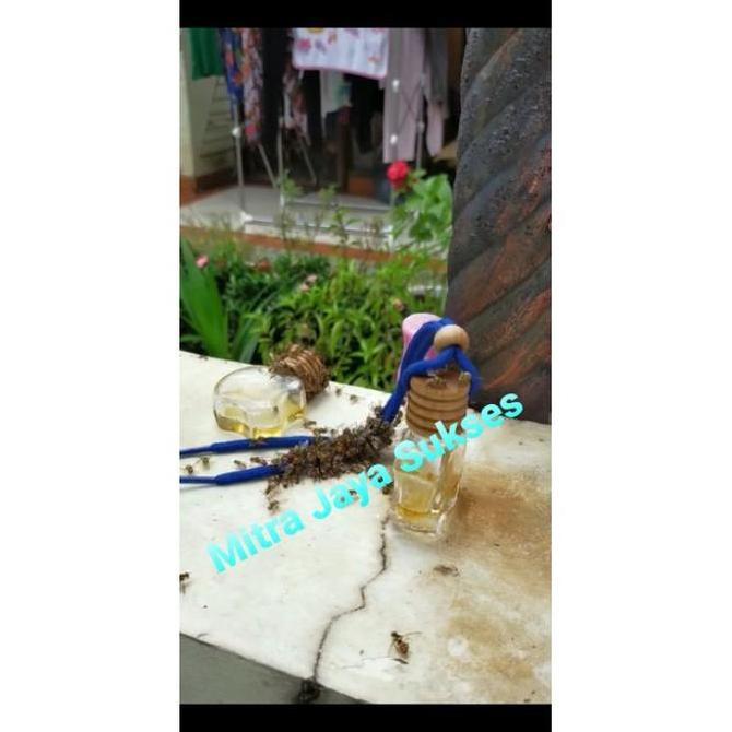Parfum Burung Walet 3MA5 Feromon Aroma Pemikat Serangga Pakan Walet PAN