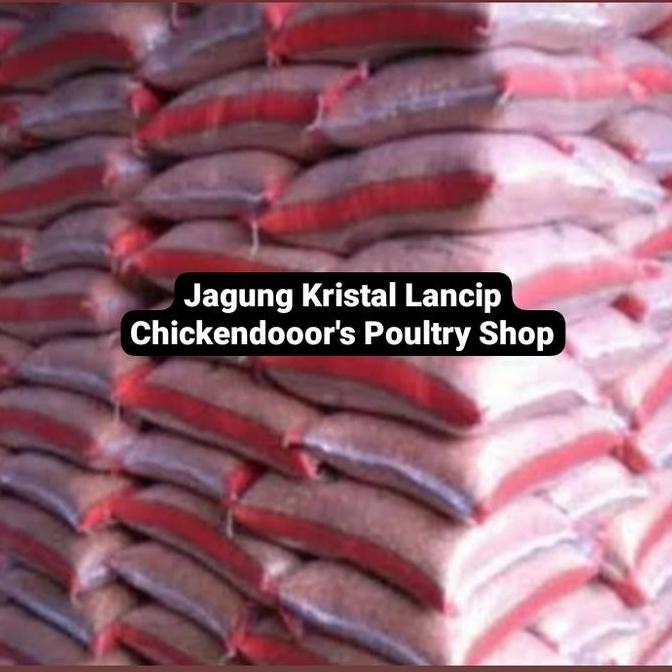 JAGUNG KRISTAL LANCIP BURUNG DARA MERPATI KOLONG BEBEK AYAM KATE 25KG