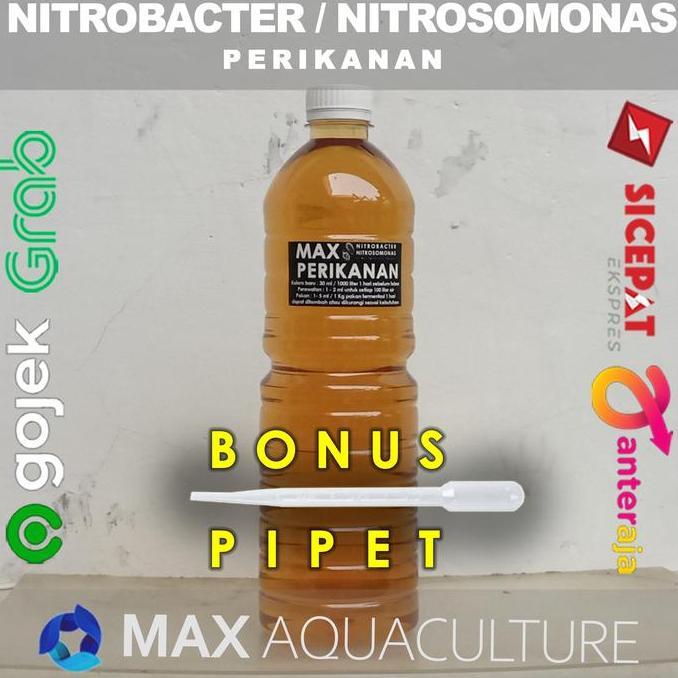 NITROBACTER PERIKANAN UNTUK PERAWATAN AIR DAN FERMENTASI PAKAN