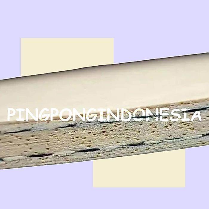 Yinhe Pro 05 - Blade Kayu Pingpong Tenis Meja Bat Bet Pro05 Pro-05