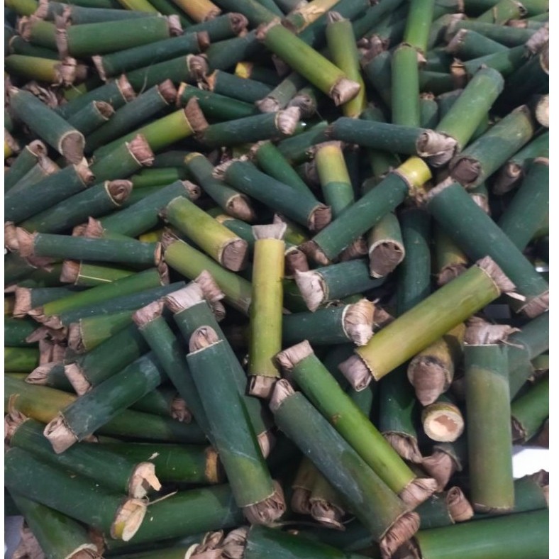 ulat bambu isi 25