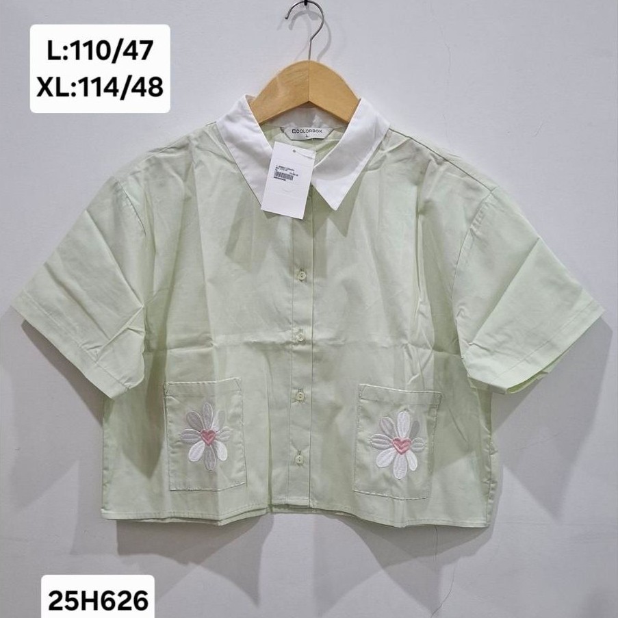 COLORBOX BLOUSE WANITA LENGAN PENDEK
