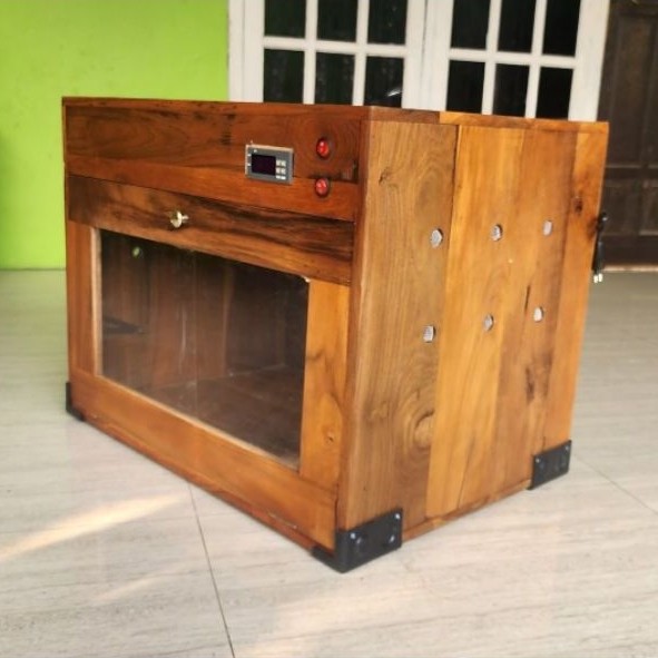 Inkubator penghangat anakan burung