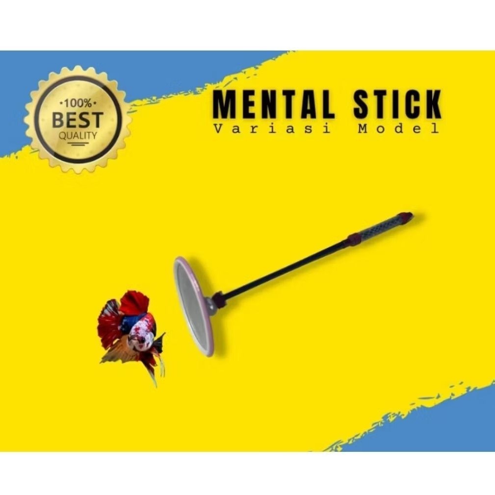 Stik cermin ikan cupang / chana adu laga naikan mental