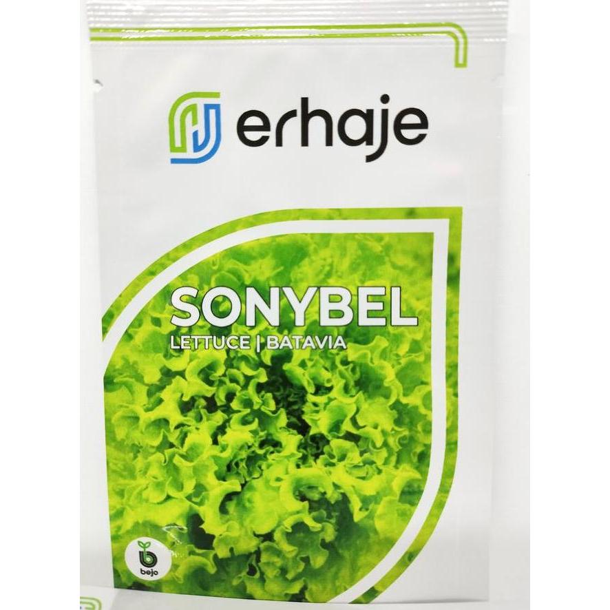 Benih Lettuce Batavia Bel Bejo Seed