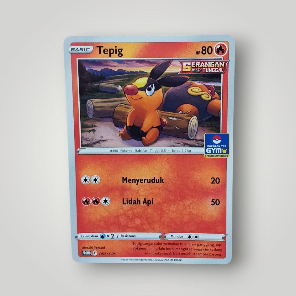 kartu pokemon Tepig promo GYM ID