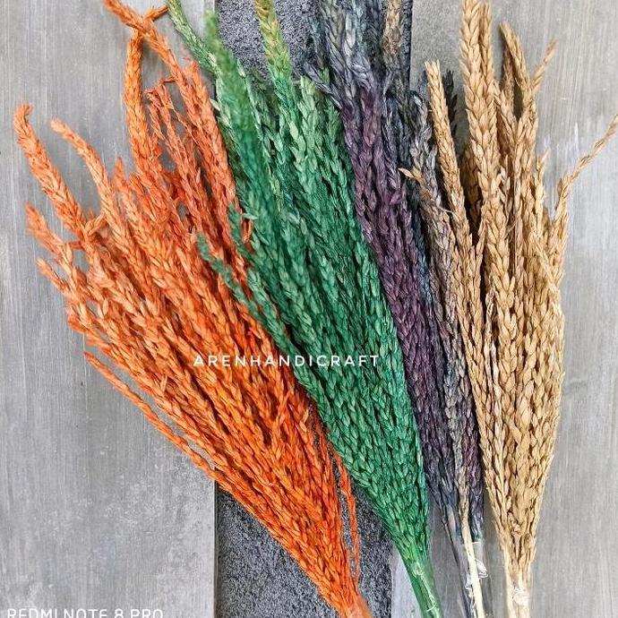 Bunga Jagung Kering Warna