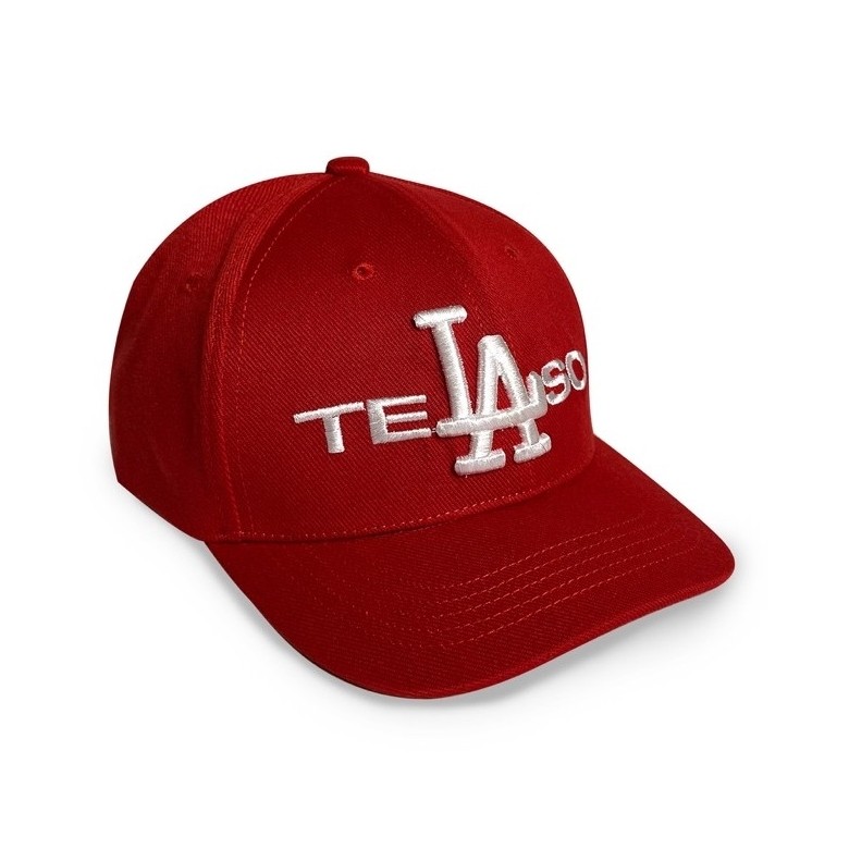 VICIOUS PAIN / TELASO SNAPBACK CAPS