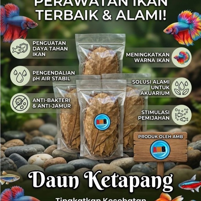 Daun Ketapang siap pakai/daun ketapang cupang/daun extrak ketapang