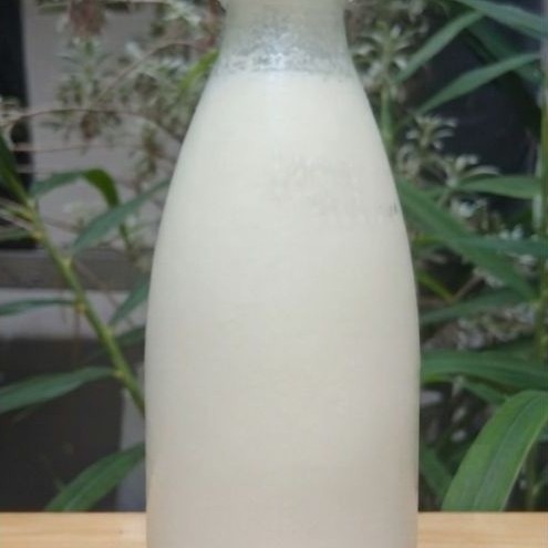 Kefir Susu Kerbau Botol Kaca 250 ml.