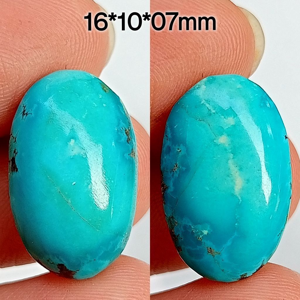 pirus persia biru polos