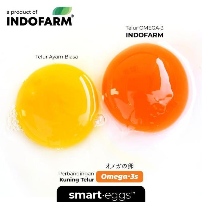 Indorasa- Telur Omega 3 Organik - Indofarm Smart Eggs