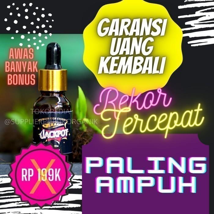 Essen Ikan Nila Lumut ,Essen Ikan Nila Umpan Lumut, Terviral