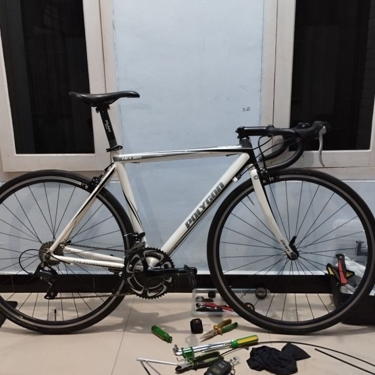 Frame Polygon Helios 200
