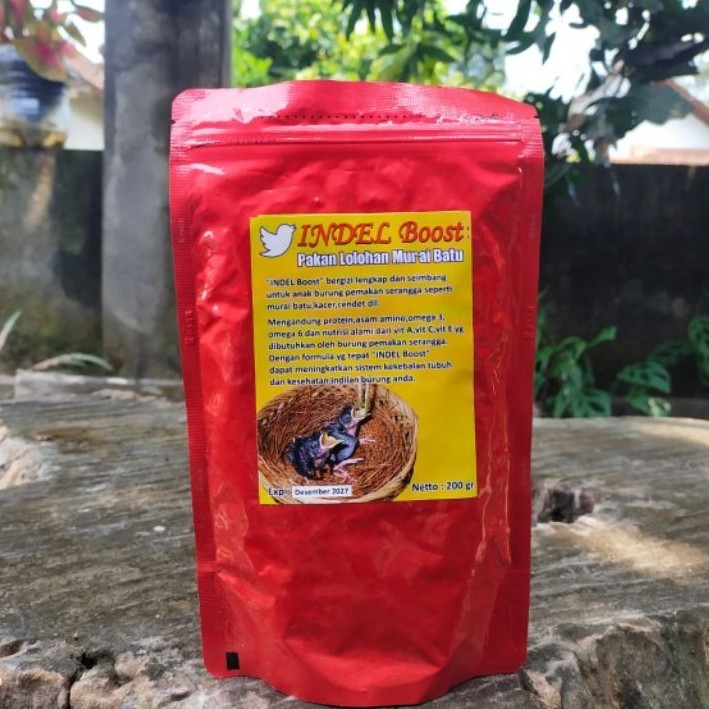 pakan lolohan murai batu