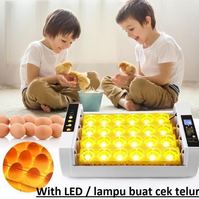 [PROMO] INKUBATOR MESIN PENETAS TELUR REPTIL KURA KURA BURUNG AYAM PUNYUH