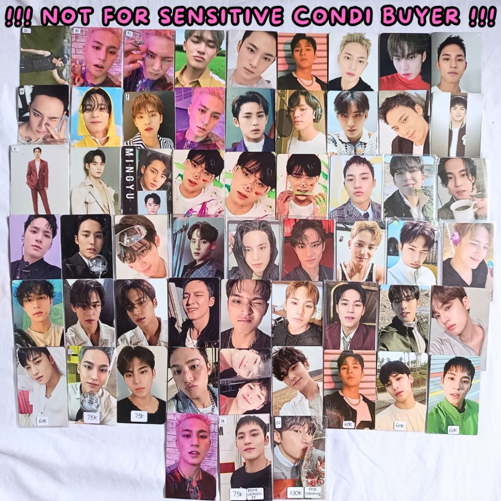 PHOTOCARD MINGYU SEVENTEEN OFFICIAL MEMKIT PILOT ABAS FTS MBEK TOMAT FML BE THE SUN DEAR VER 17RH