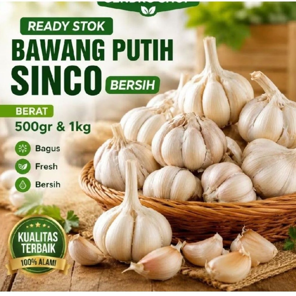 bawang putih sinco/honan  500 gram bawang putih sinco segar