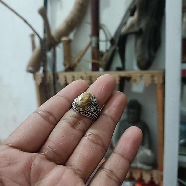 kantil putih sendang