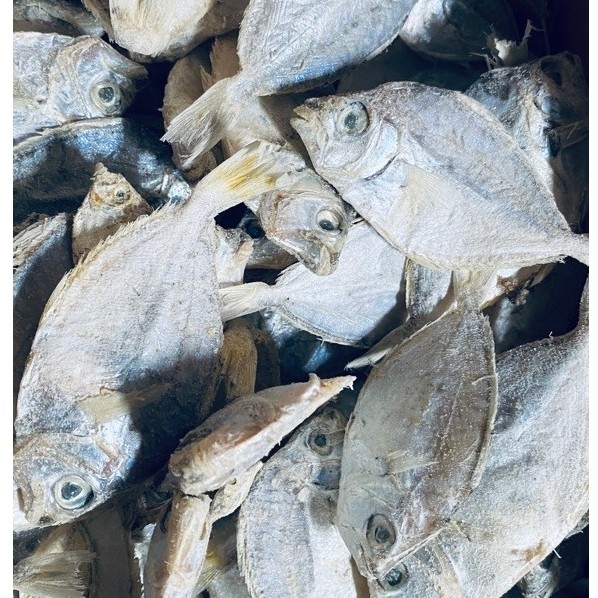 IKAN ASIN DODOk