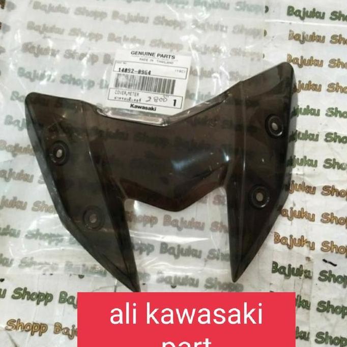 winsil/winshield/visor z800 z 800 original