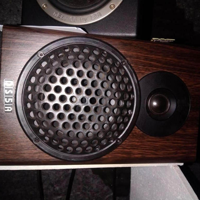 Speaker monitor Recording Flat DS5A