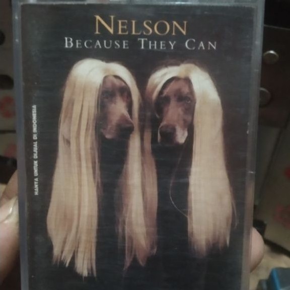 kaset pita nelson-because they can